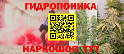 амф Лесосибирск