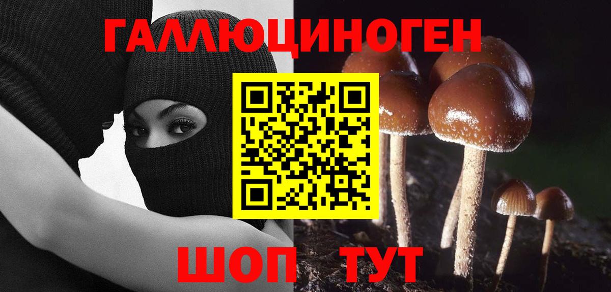 Галлюциногенные грибы Psilocybine cubensis  Вход с VPN  купить   Тобольск 