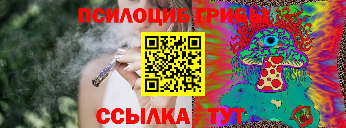 Псилоцибиновые грибы Psilocybine cubensis Тобольск